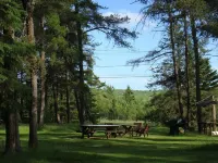 Pinecone Motel โรงแรมใน