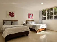 Drake Piantini Santo Domingo