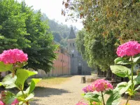 Lecci di Soviore - Villas