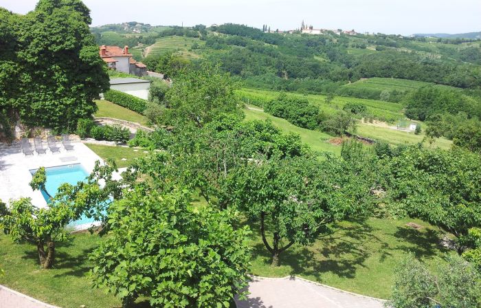 Dvor Apartments and Rooms