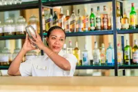 Baobab Tree Hôtel & Spa - bar