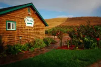 Purple Orchid Resort & Spa - Spa