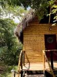 Selva Teenek Hotels in Сьюдад Вальес