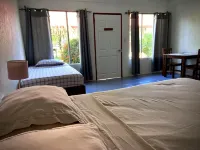 Rooms & Pool Macaws