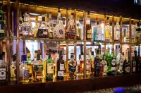 世界語飯店 - 酒吧