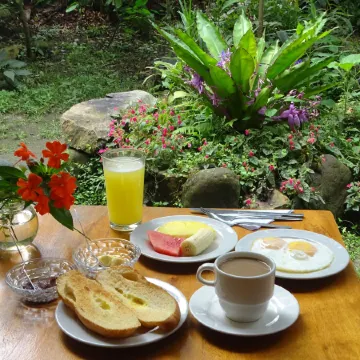 Cabañas Armonía y Jardín de Orquídeas