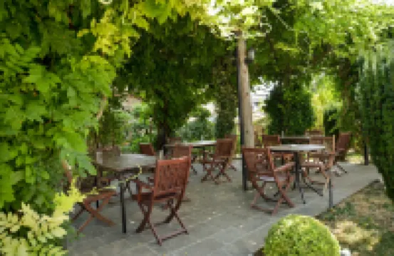 ホテル カレミ のホテル