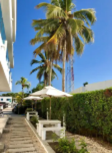 Blue Apartahotel Hotels in 