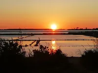 Holidays for all Young people. Groups and Families