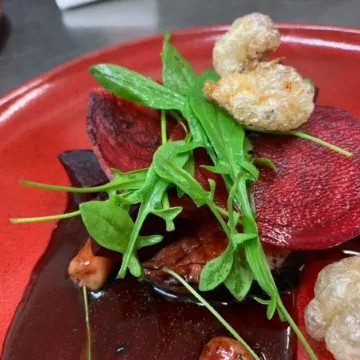 Aloft Boutique Accommodation