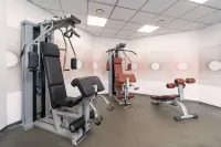 Festa Winter Palace Hotel - Gym