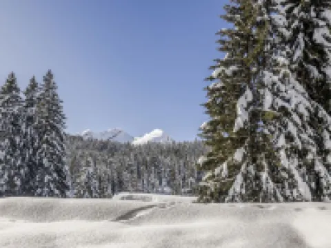 Larice Hotels in Mesocco