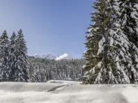 Larice Hotels in Mesocco