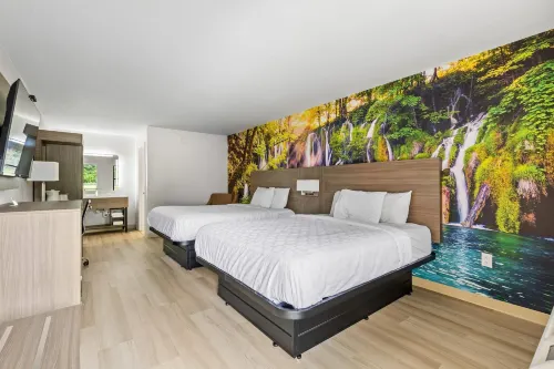 Travelodge by Wyndham Alachua Hotels in Alachua