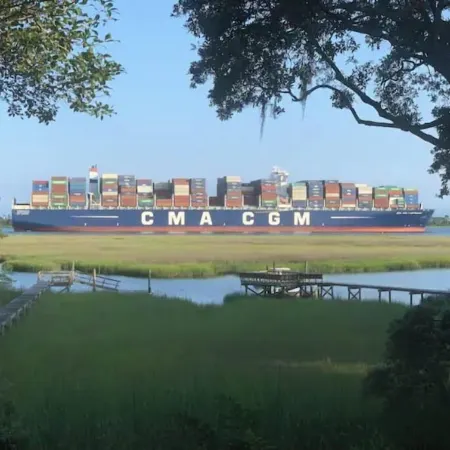 MCM Magic on the Marsh