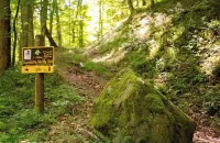 Cottage 304, 2 Bed w/ Fire Pit, near trails! Hotels in Logan County