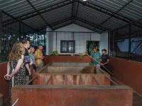 邁拉加馬肉桂公寓 莫訥勒格勒區酒店