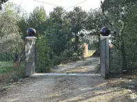 Cotignac en famille - the perfect setting for your vacation