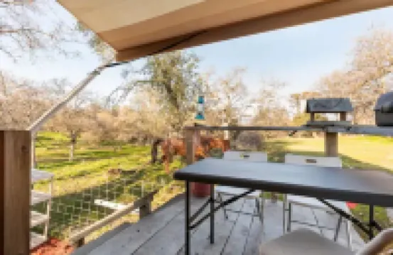 Twisted oaks forest cottage, Squaw Valley california Hotels in Squaw Valley