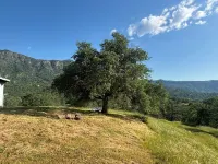 Mountain Summit View