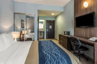 Comfort Inn & Suites Hotel a Vega Alta