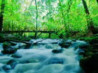 Idyllic vacation home Lapland Hotels in Seck