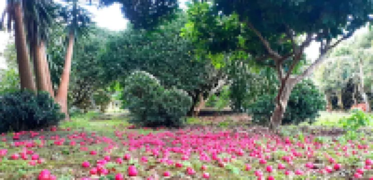 Quinta das Rãs - Amplo Espaço, Calmo, Adequado a Familias com Crianças