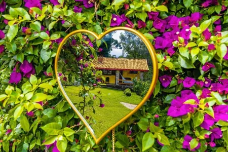 Cozy cabin in São Bento do Sapucaí, beautiful view of Pedra do Baú