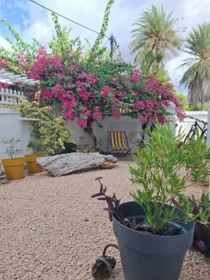 3-ensuite bedroom Beach House in Albion with a pool, a hammam and the beach Hotels in Albion