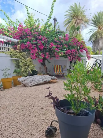 3-ensuite bedroom Beach House in Albion with a pool, a hammam and the beach