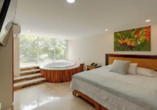 聖佩德羅德爾富爾特酒店