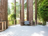 Sunny, downtown family oasis amongst the redwoods Hotels in Mill Valley