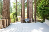 Sunny, downtown family oasis amongst the redwoods