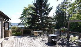 Waterfront cottage with tidelands, creek and waterfall!