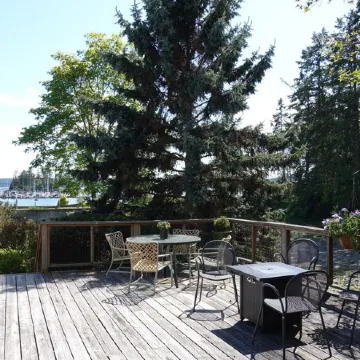 Waterfront cottage with tidelands, creek and waterfall!