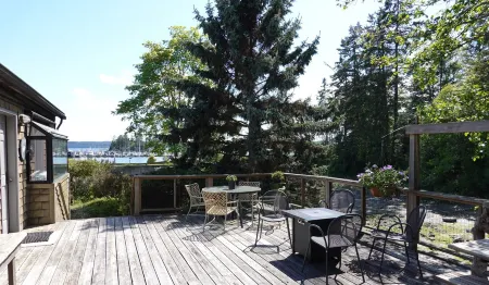 Waterfront cottage with tidelands, creek and waterfall!