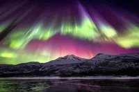 Central bus station apt (D14C) Hotel di Narvik