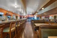 Best Western Seven Seas - bar