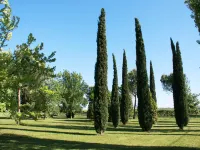 Family Getaway in Emilia-Romagna Hotels in Faenza