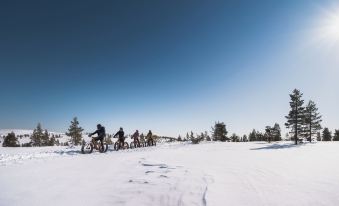 Saariselkä Kelo Lodge