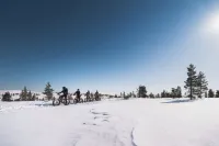 Saariselkä Kelo Lodge