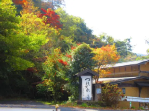 つれづれ 九重のホテル