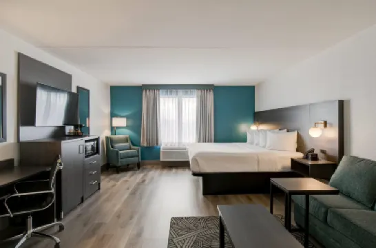 La Quinta Inn by Wyndham Columbia SE / Fort Jackson フォートジャクソン周辺のホテル