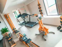 Ibis Styles Albi Centre le Theatro - Gym
