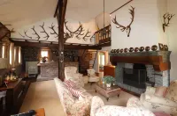 Villa in Ommen with Private Pond - Homestays