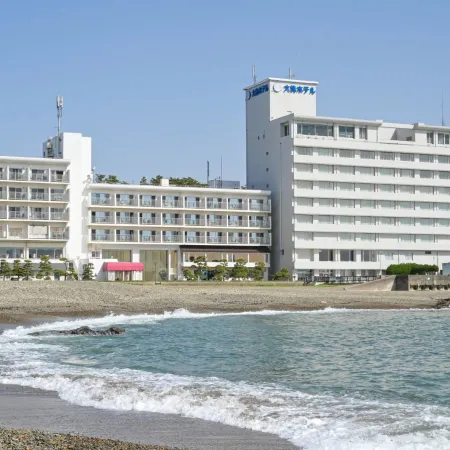 OARAI HOTEL Отели в г. Оараи
