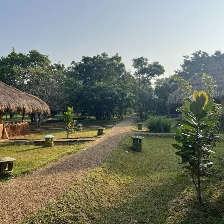 Saffron Lake Yala