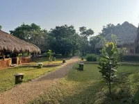Saffron Lake Yala
