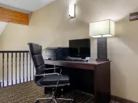 Comfort Inn & Suites Greeley Hotels in Greeley