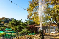 Gunwi Palgongsan Gagopa & Big Rock Pension - Homestays